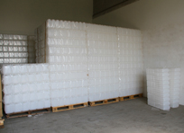 Plastika Medved