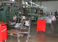 Plastika Medved